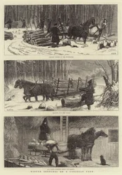 Vinterskitser på en canadisk gård
